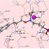 Docking representation of a potential inhibitor Docking representation of a potential inhibitor