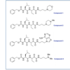 Figure 1. Features a schematic design of four peptidyl ketoamide compounds.