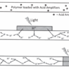 Figure 1: Polymer loaded with acid amplifiers. From exposure of light, acid is generated and amplified through the non-photosensitive regions by acid amplifiers.