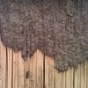 Picture 1