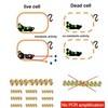 PCR detection of viable bacteria that exhibit metabolic activity