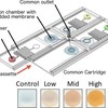 Infectious disease diagnostics