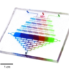 Microfluidic Gradient Generator