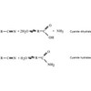 Cyanide breakdown enzymes