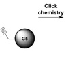 Functionalization of PAMAM dendrimer using Click chemistry Functionalization of PAMAM dendrimer using Click chemistry