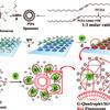 Biosensor for Glucose Level Testing Biosensor for Air, Water Quality Testing