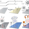 Biosensor Detects Mercury, Melamine Contamination Biosensor Low-Cost, Disposable