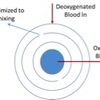 Spiral gated membrane oxygenator