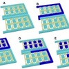 Single Cell Capture Scheme; University of Michigan Single Cell Capture Scheme