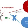 Targeted Anti-Cancer Drug Delivery Targeted Anti-Cancer Drug Delivery