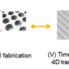 Illustration of micro-wells transforming into micro-grooves over time at 37°C. Illustration of micro-wells transforming into micro-grooves over time at 37°C.