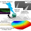 : “Spark-cell” spheroids can be manufactured in a high-throughput (HT) format, and can be positioned onto hiPSC-cardiomyocytes, also grown in HT format. Shown is calcium response (trace and optical map) triggered by light engaging a deposited “spark-cell” spheroid. : “Spark-cell” spheroids can be manufactured in a high-throughput (HT) format, and can be positioned onto hiPSC-cardiomyocytes, also grown in HT format. Shown is calcium response (trace and optical map) triggered by light engaging a deposited “spark-cell” spheroid.